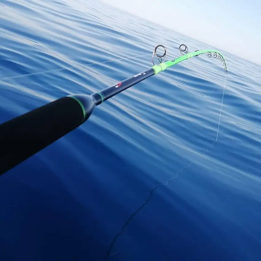 AKAMI MANTA ACID RODS