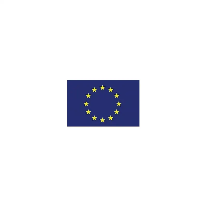 bandiera UNIONE EUROPEA