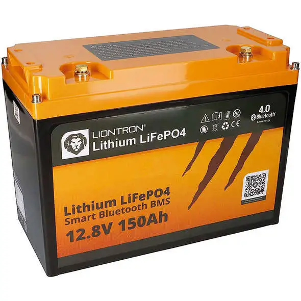 Batteria litio Liontron LiFePO4 BMS smart - 55 Ah