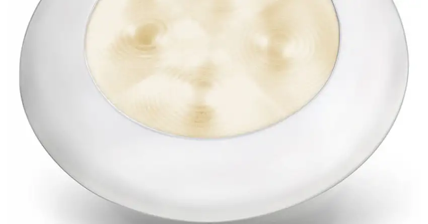 LUCE DI CORTESIA BIANCO CALDO - PLASTICA 12V
