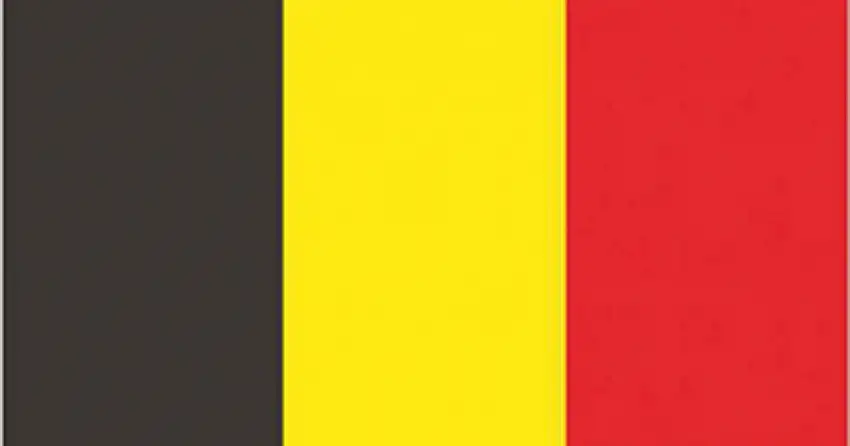 BANDIERA BELGIO CM.20x30