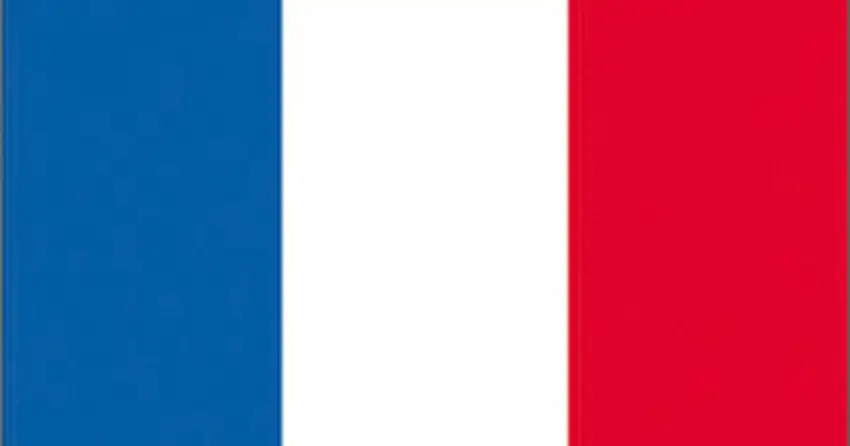 BANDIERA FRANCIA CM.40X60