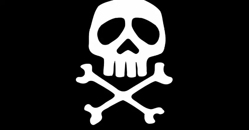 BANDIERA PIRATA CM.20X30