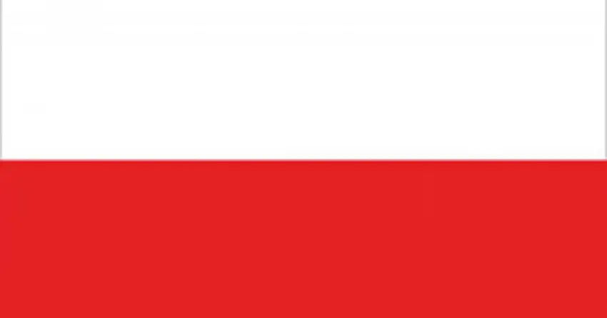 BANDIERA POLONIA CM.30X45