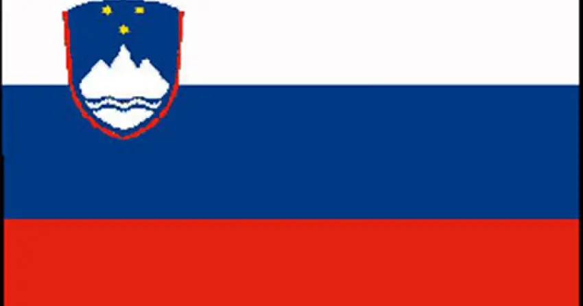 BANDIERA SLOVENIA CM.40X60