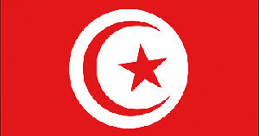 BANDIERA TUNISIA CM.20X30
