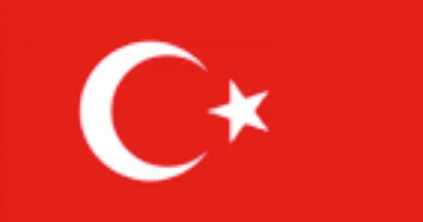 BANDIERA TURCHIA CM 30X45