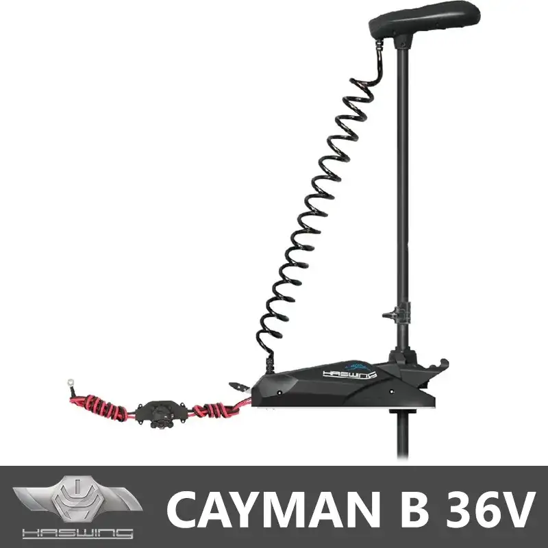 HASWING CAYMAN B GPS 120Lb - 36V CON STAFFA
