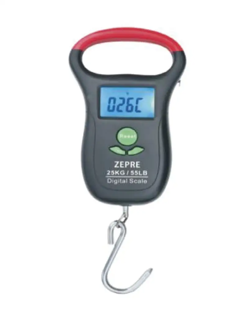 Zepre Bilancia Digitale Scala 25Kg