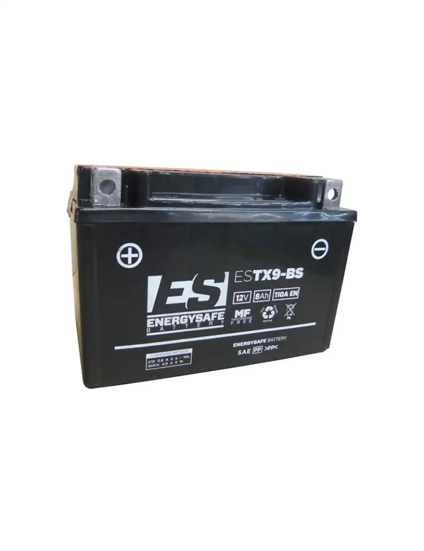 Batteria AGM Energy Safe TX9-BS 8A 110A EN
