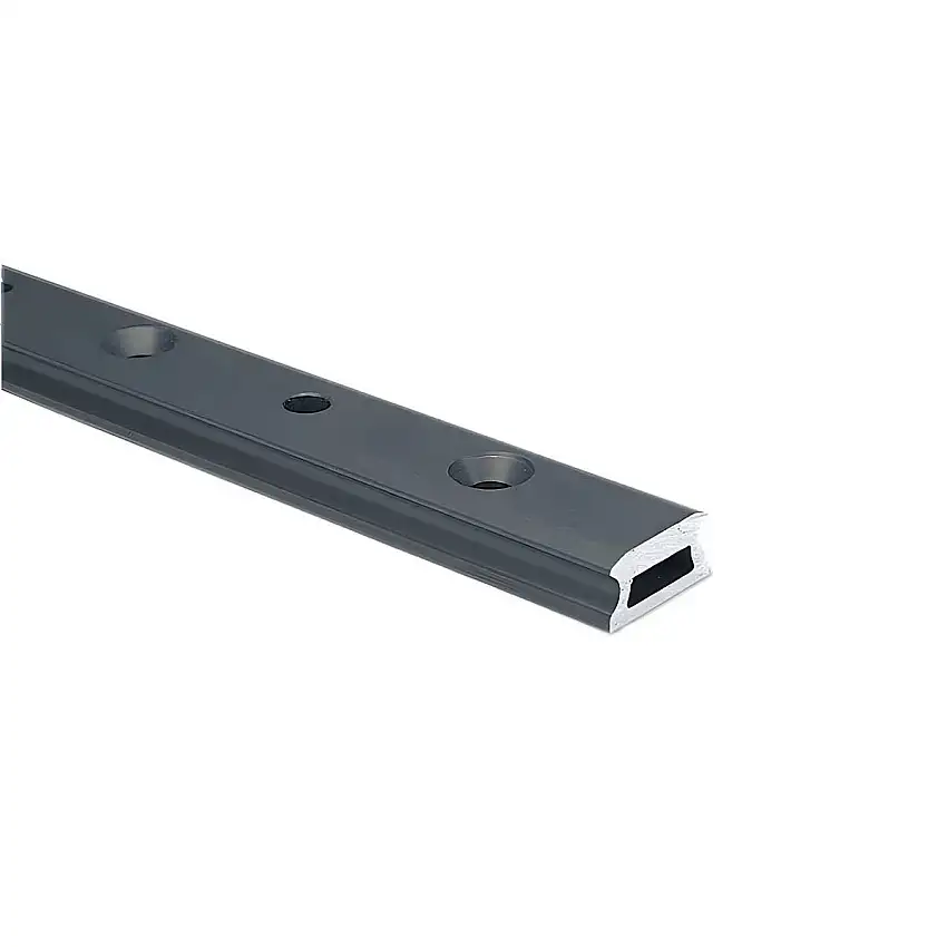 Rotaia perforata Ocean / NTR T2