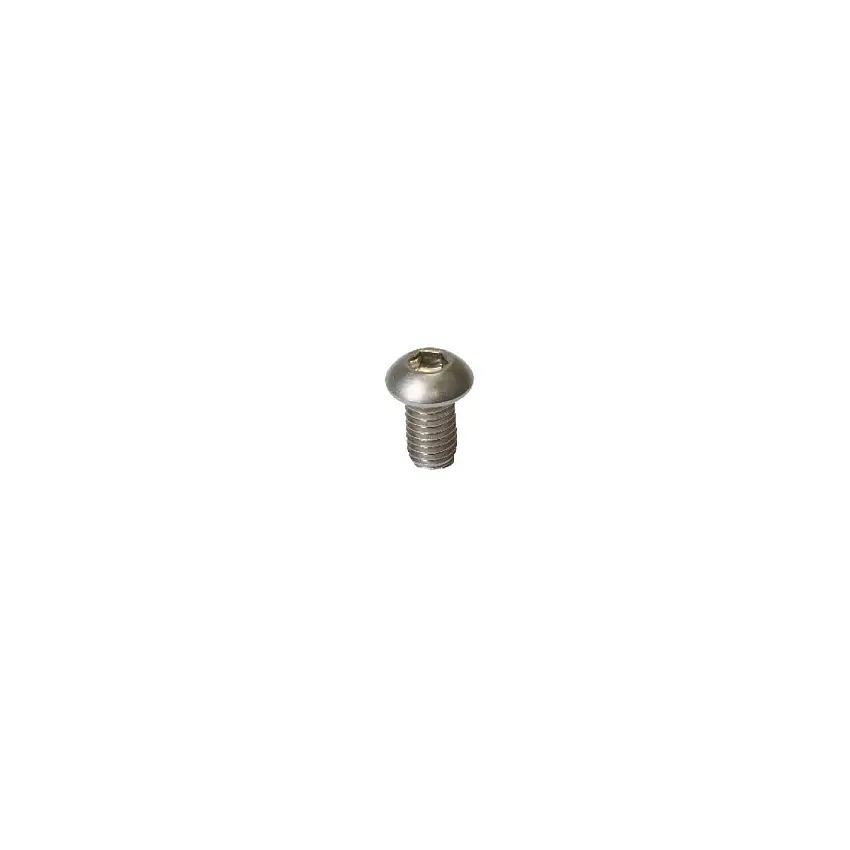 100 viti THRC in acciaio inox