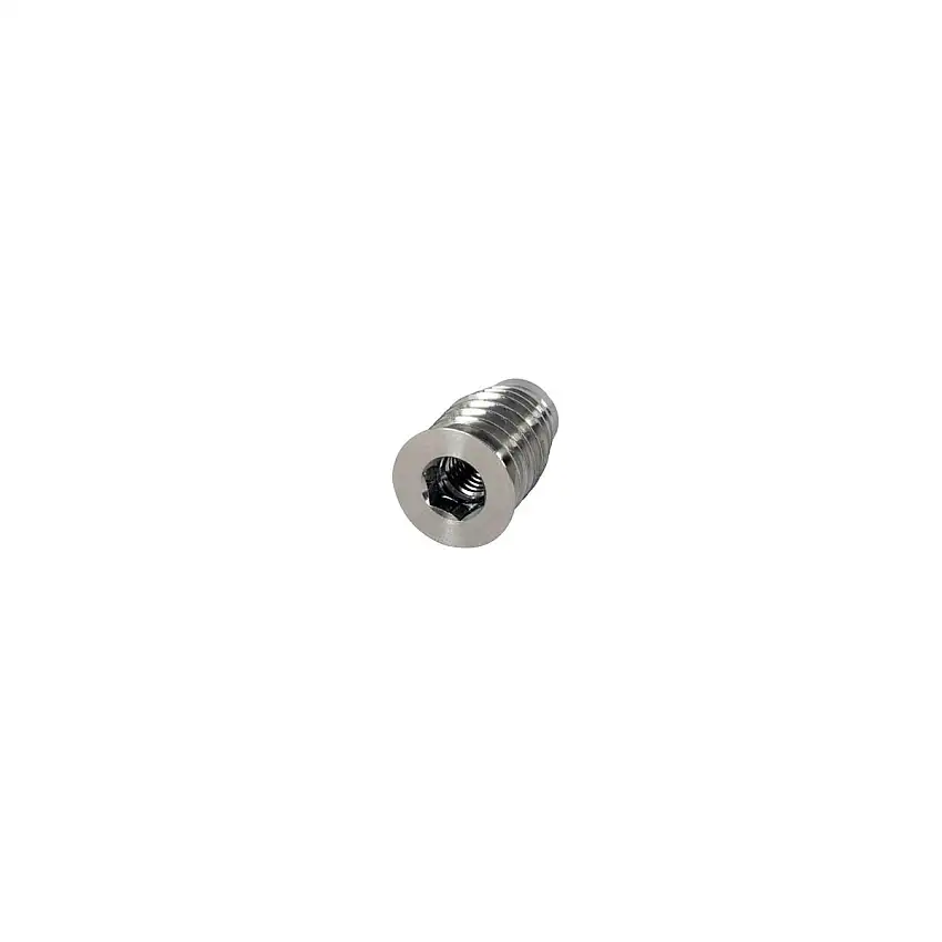 2 inserti A4 M6 in acciaio inox