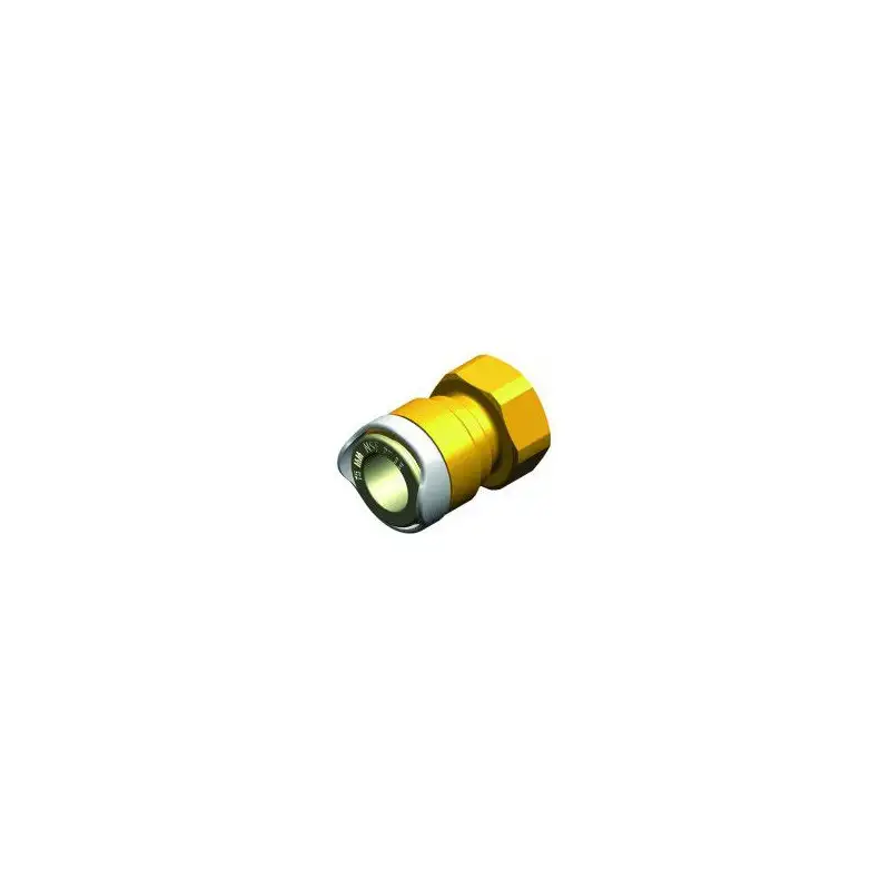 Adattatore 1/2"BSP femmina ottone
