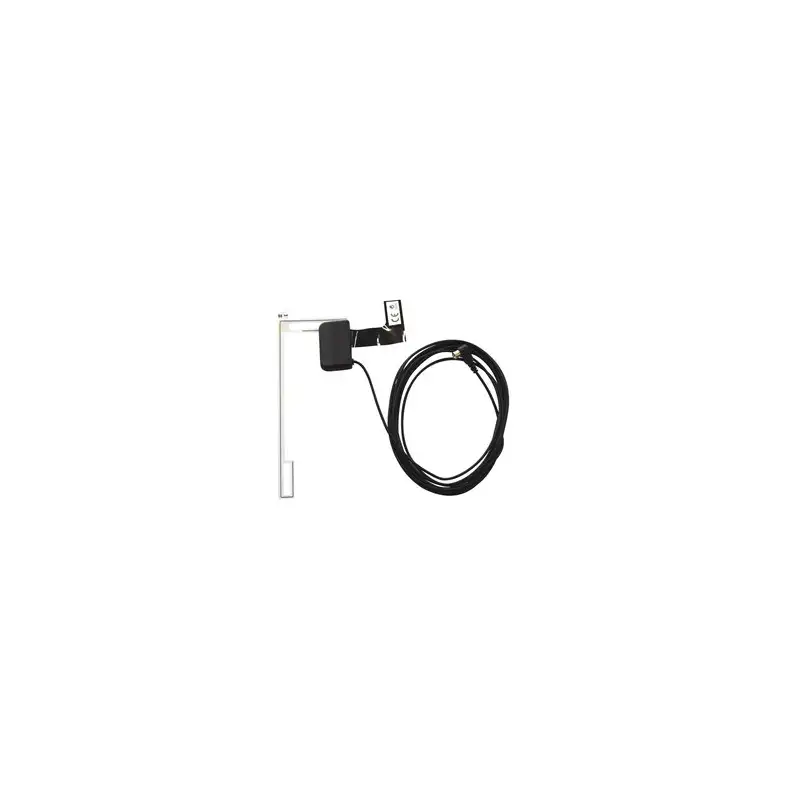 Pioneer Antenna dab