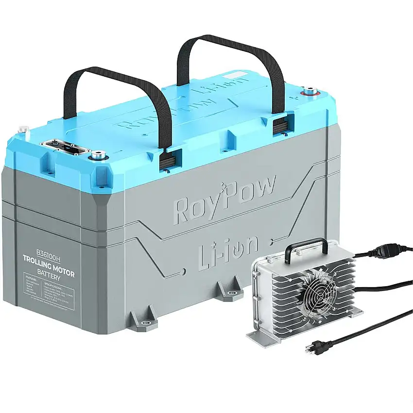 Batteria al litio LifePO4 36V/100A con caricabatterie