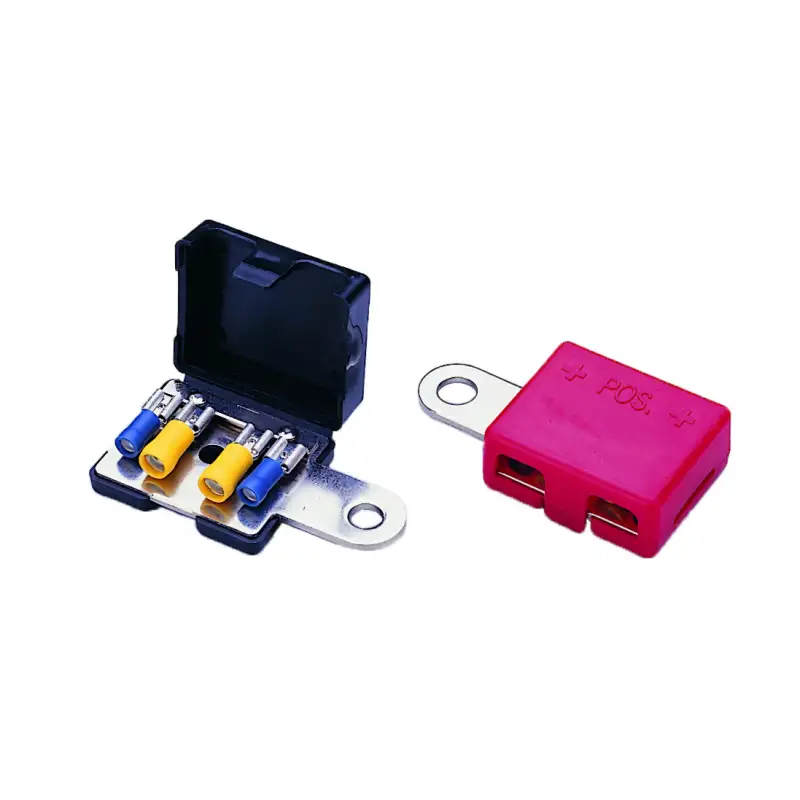 A.A.A. Coppia terminali batteria