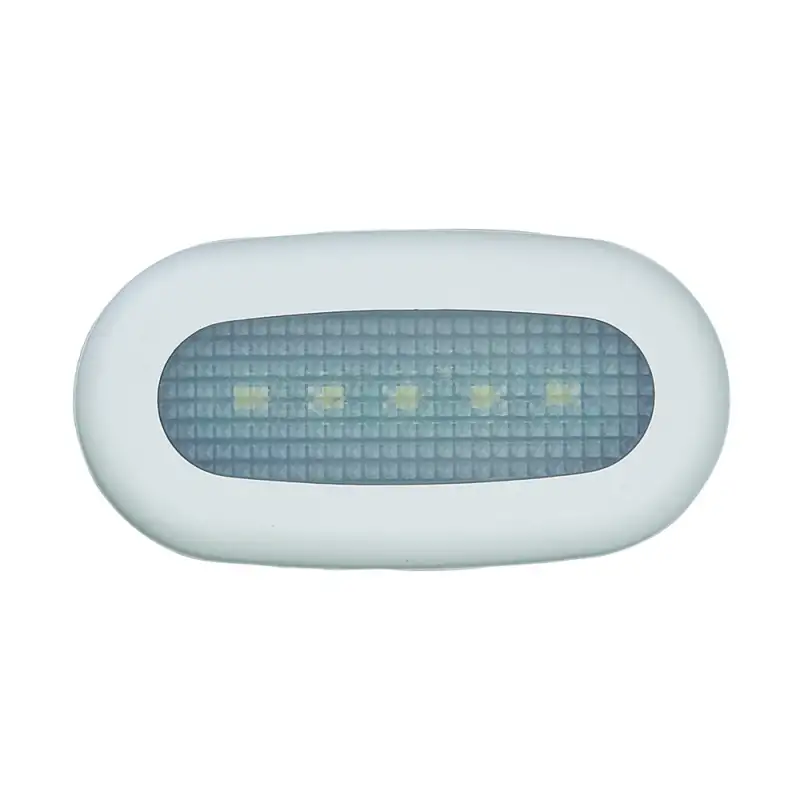 Luce di cortesia stagna a 5 led blu