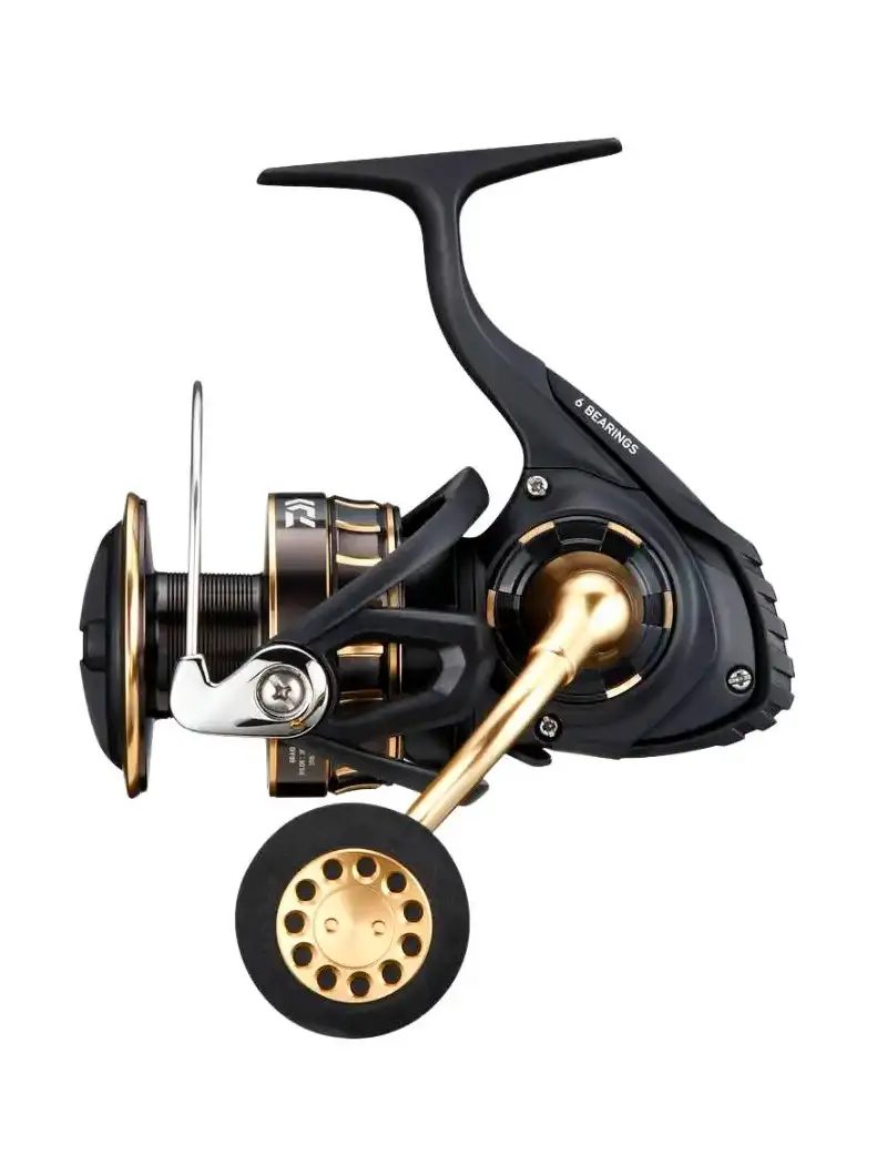 Daiwa 23 BG SW 10000 H