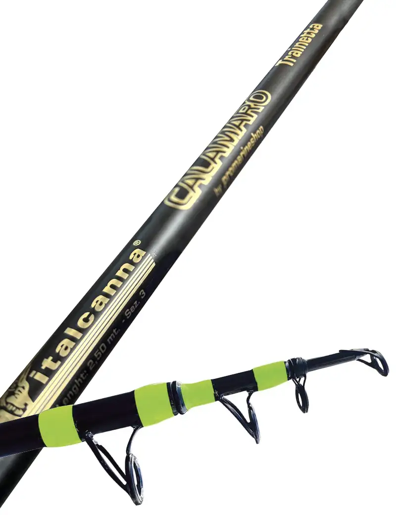 Italcanna Calamaro Trainetta 250